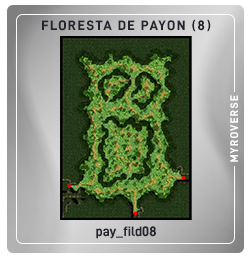 pay_fild08