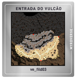 ve_fild03
