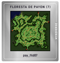 pay_fild07