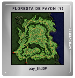 pay_fild09